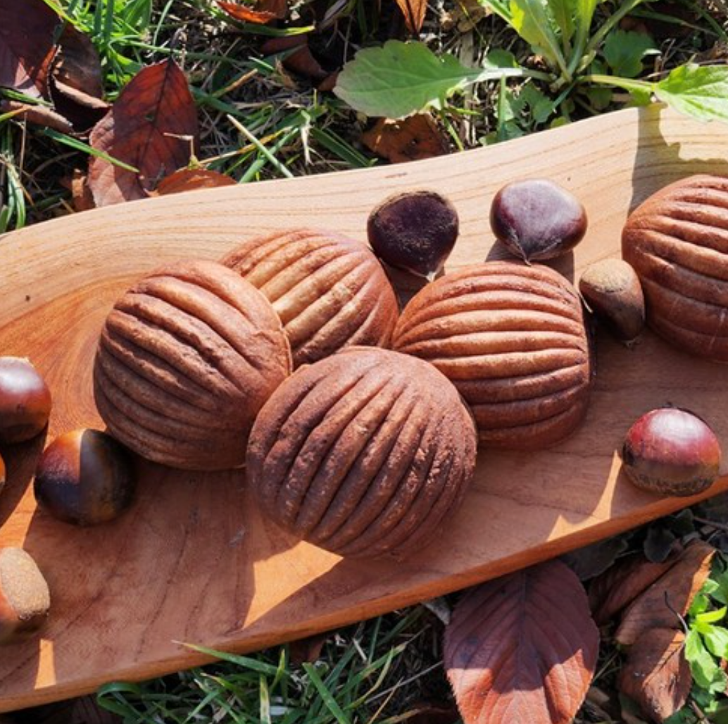 PREMIUM REAL CHESTNUT BREAD 480g*8/구황작물 진짜 통밤빵