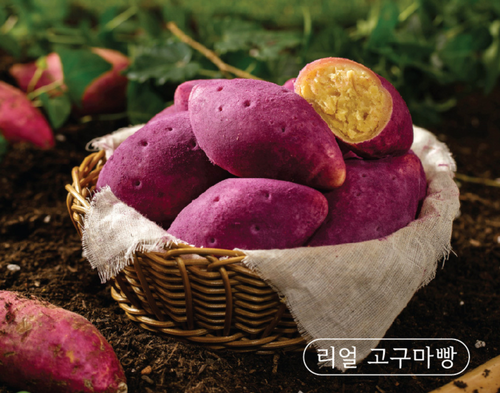 PREMIUM REAL SWEET POTATO BREAD 480g*8/구황작물 진짜 고구마빵