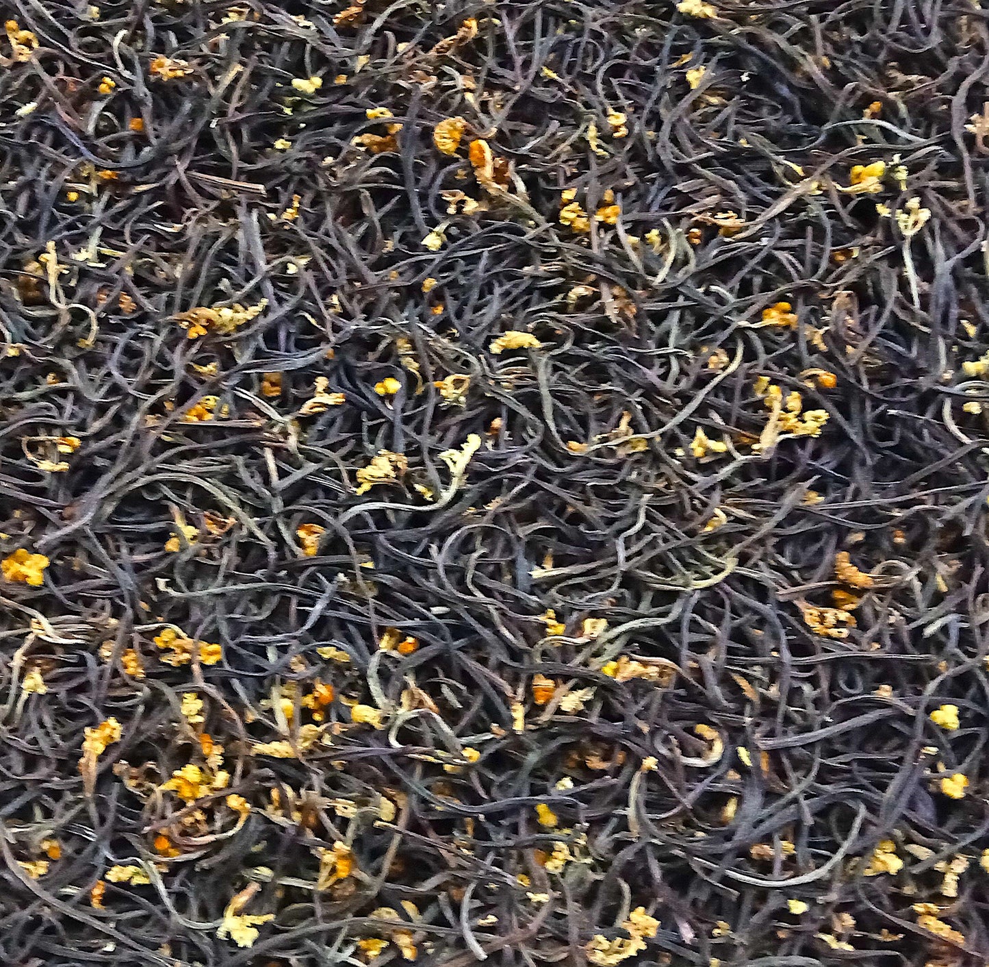 干皇家蕨散装 10kg/말린 고사리