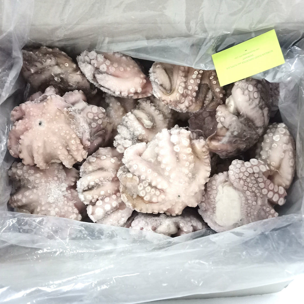 冷凍タコ 丸ごと洗浄 8kg/냉동 세척 돌 문어 벌크