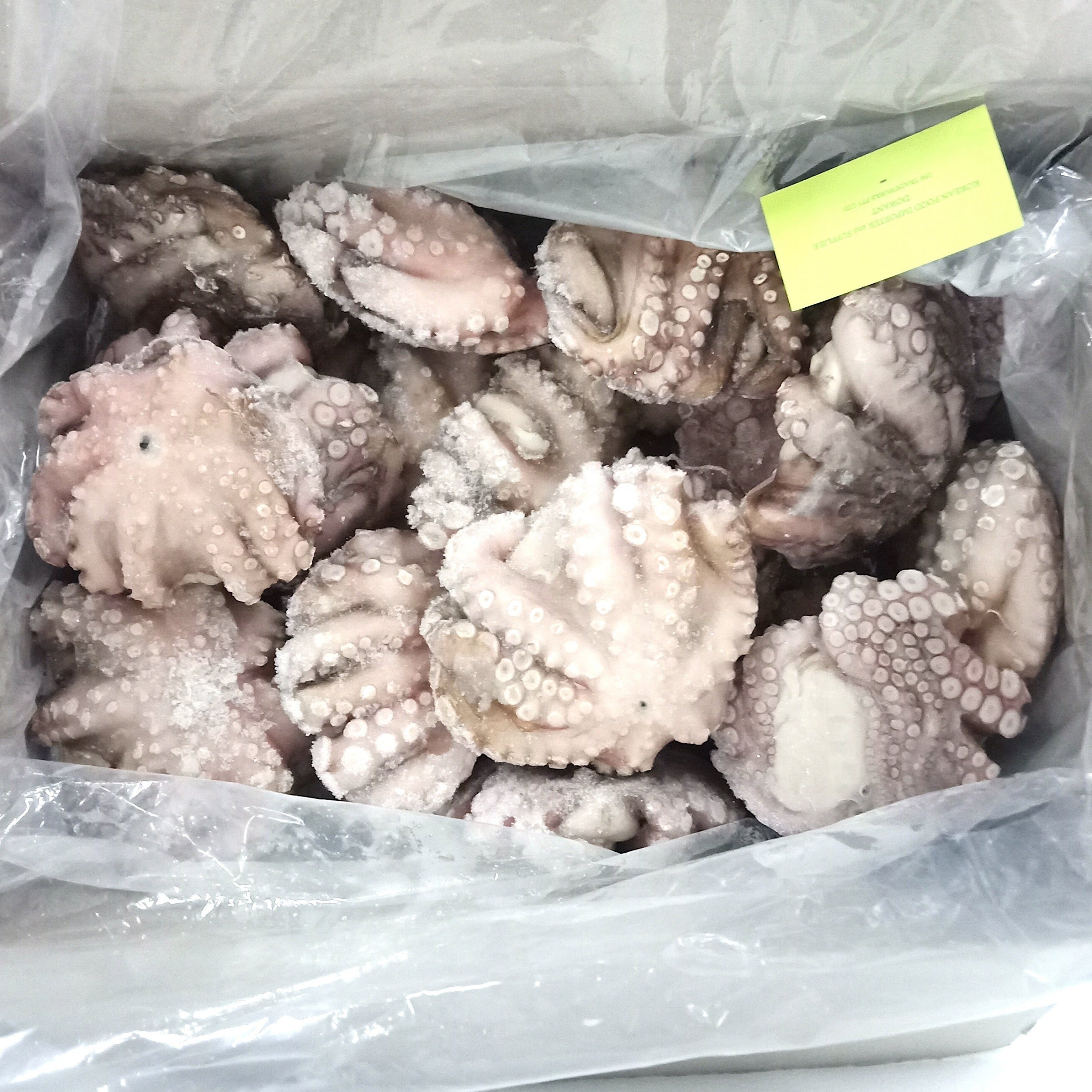 冷凍タコ 丸ごと洗浄 8kg/냉동 세척 돌 문어 벌크